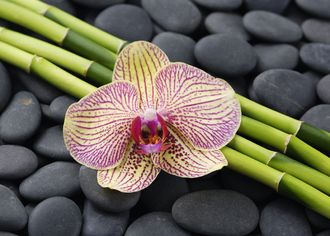 	foto-na-platno-orchidej-bambus-a-spa-kameny-na-cerne