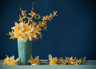 fotoobraz-na-platno-zlute-orchideje-na-tmavem-pozadi