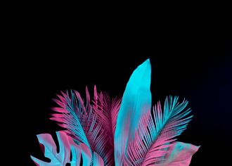 tisk-na-platno-barevne-tropicke-listy-na-cerne